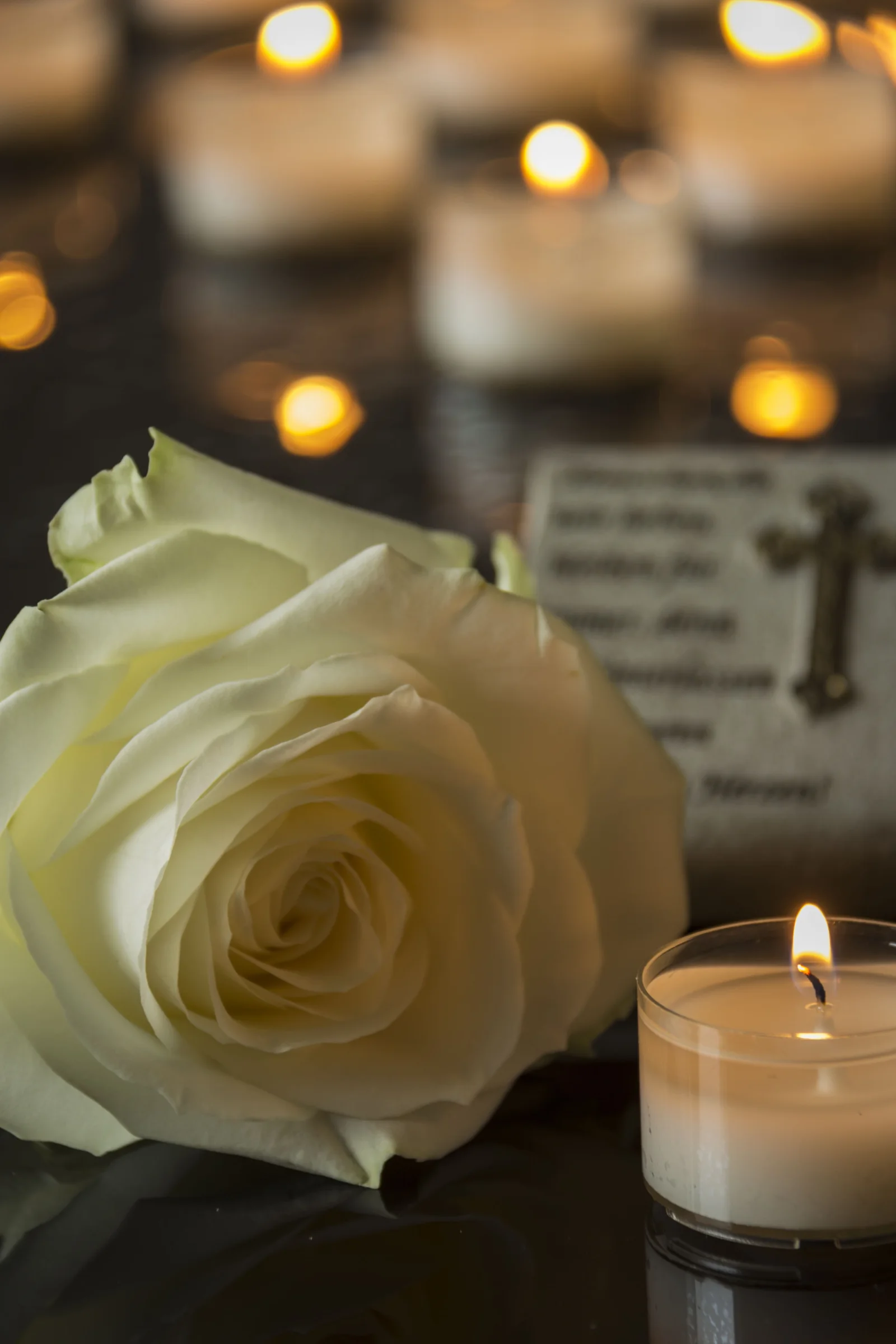 Rosa bianca e luce di candela